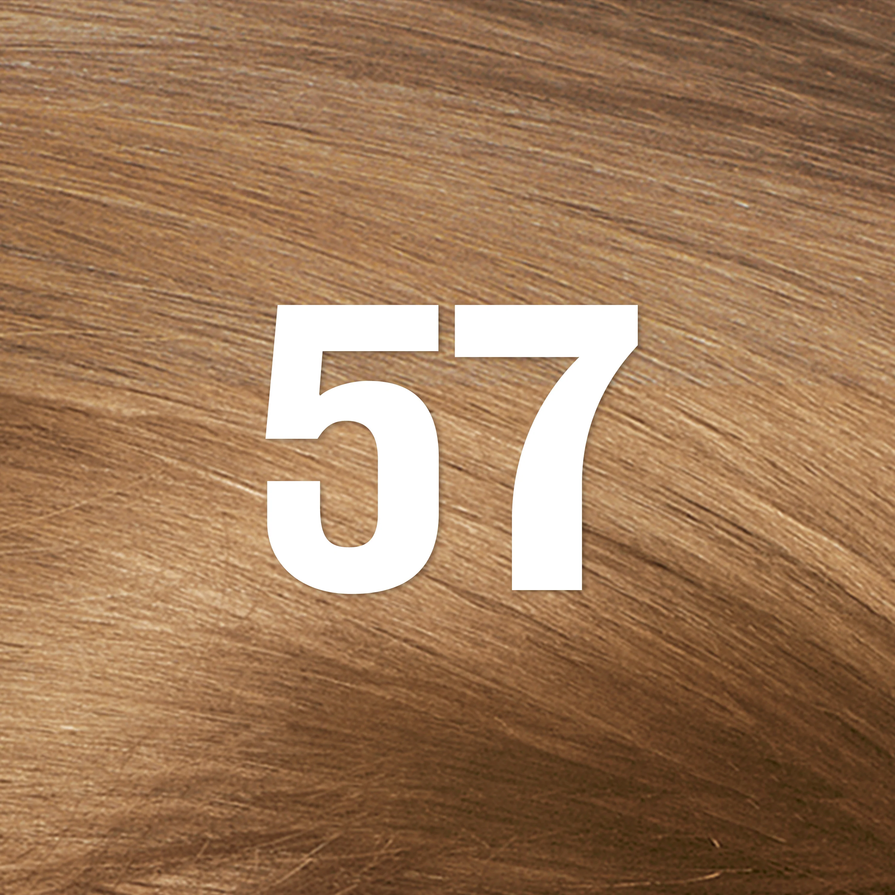 Thumbnail 58